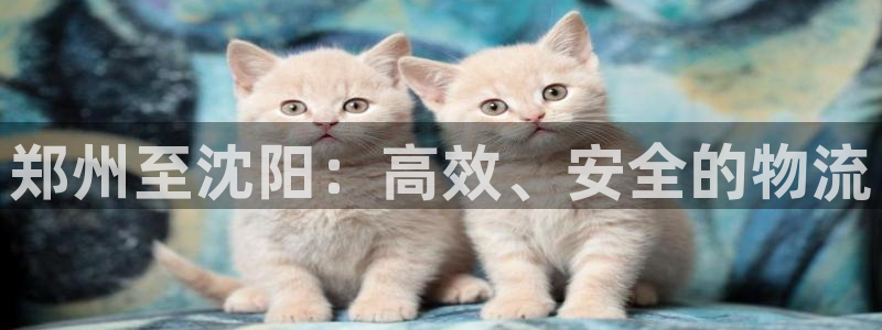 超凡国际登录流程：郑州至沈阳：高效、