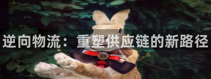 超凡国际官网下载链接是什么：逆向物流