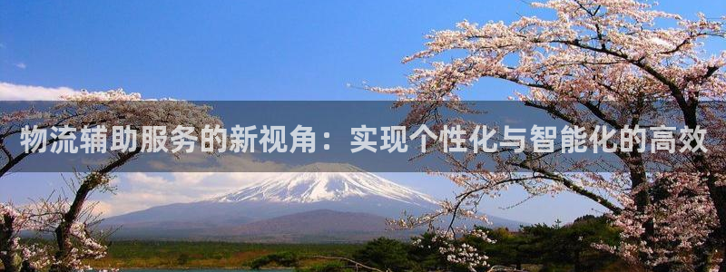 自行车超凡国际是什么意思：物流辅助服
