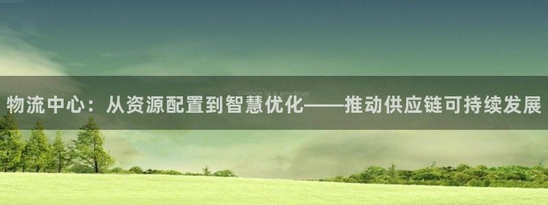 超凡国际电子：物流中心：从资源配置到