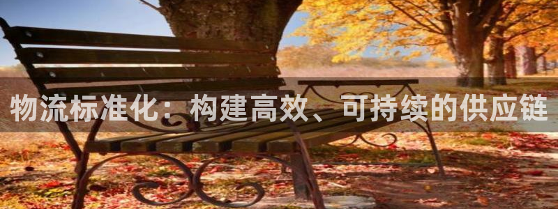超凡国际官网入口o：物流标准化：构建