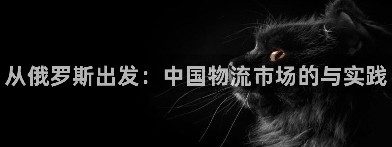 超凡国际推广链接是多少个：从俄罗斯出