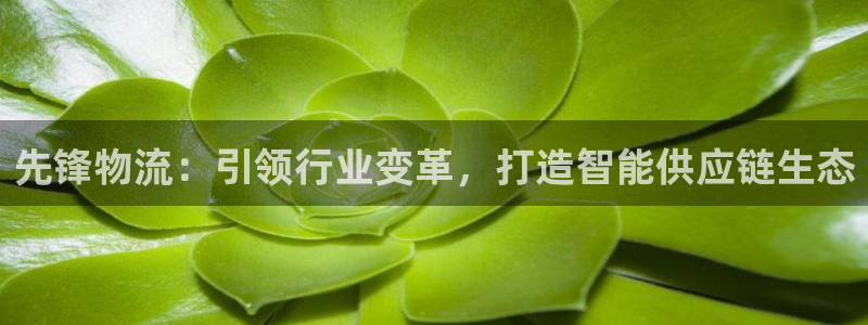 超凡国际初始资金密码在哪里改：先锋物