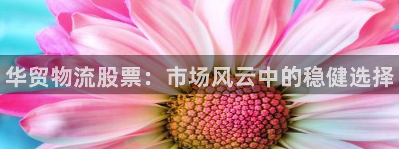 超凡国际登录用户名登录不上：华贸物流
