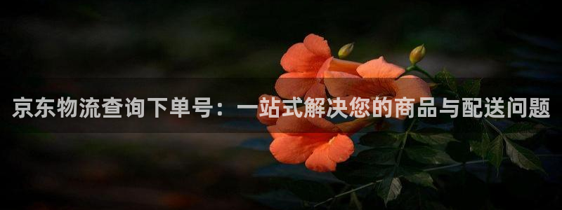 南宫超凡国际官网：京东物流查询下单号