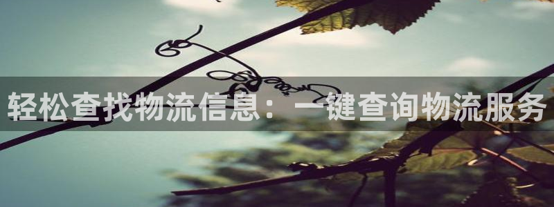 超凡国际提现不到账：轻松查找物流信息