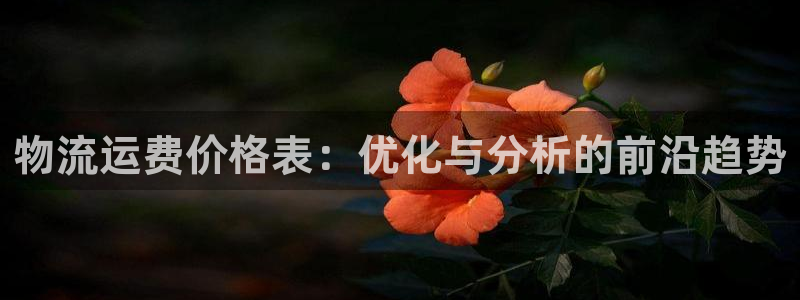 超凡国际h5链接：物流运费价格表：优