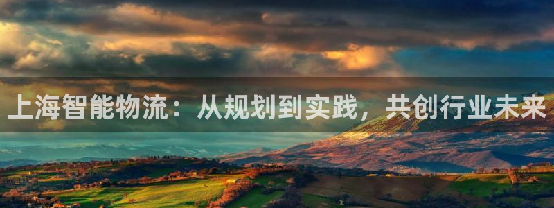 超凡国际软件：上海智能物流：从规划到