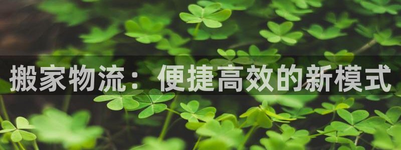 超凡国际官方网站是多少：搬家物流：便