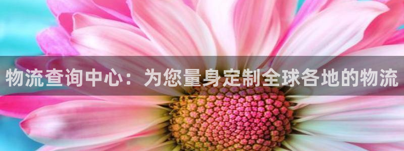 超凡国际连接：物流查询中心：为您量身