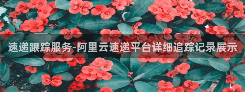 超凡国际v6能卖多少：速递跟踪服务-