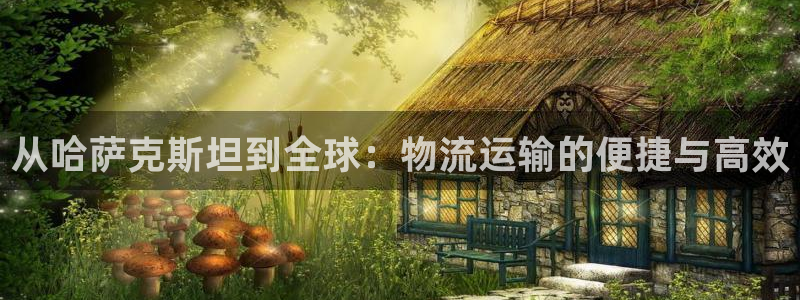 超凡国际官网入口pc29官网版