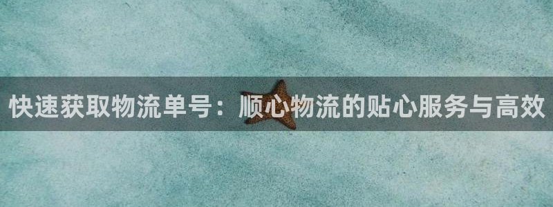 超凡国际充值方式:快速获取物流单号: