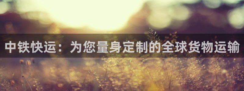 超凡国际软件有什么用:中铁快运:为您