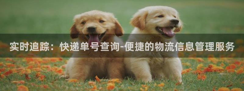 超凡国际如何看计划：实时追踪：快递单