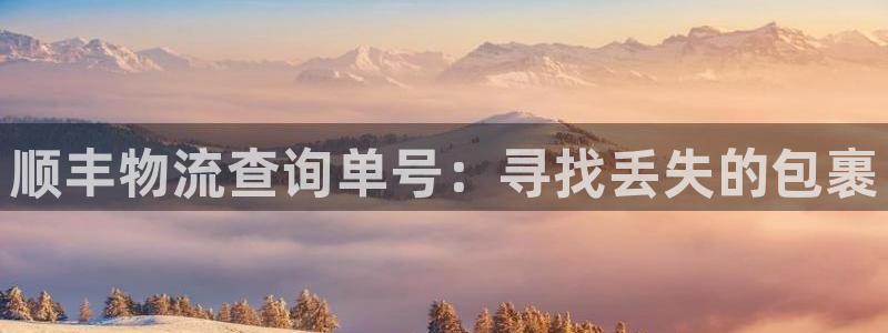 超凡国际登录用户名登录不上：顺丰物流