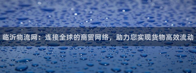 超凡国际官网入口:临沂物流网:连接全